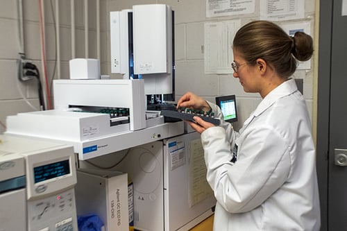 GC ECD web 2 GC ECD web 2