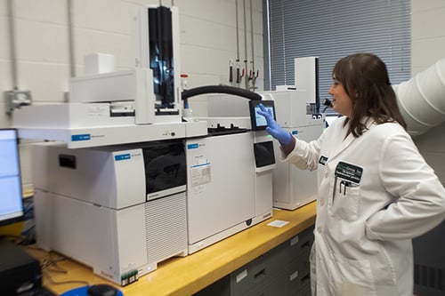 GCMS web 2 GCMS web 2