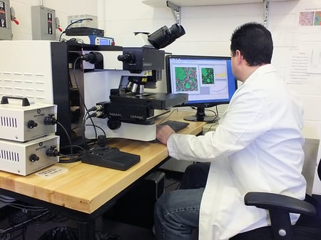Raman in use Raman in use