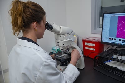 Scientist at PLM web