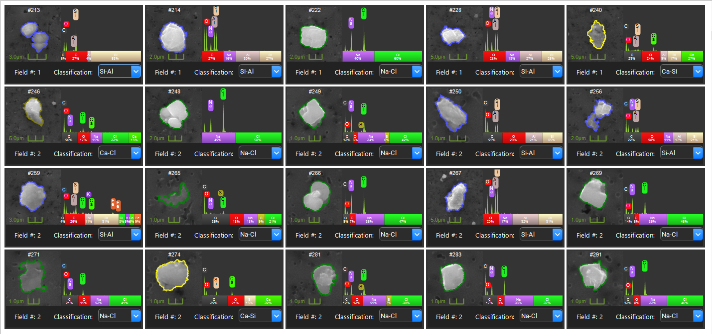 Avoid These 5 Pitfalls for Automated Particle Characterization
