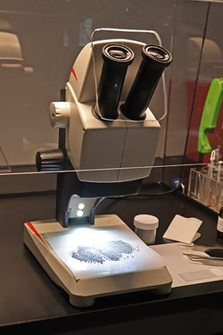 Stereo Scope web Stereo Scope web