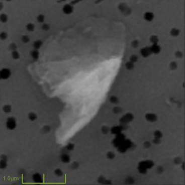 carbon particle on polycarbonate filter