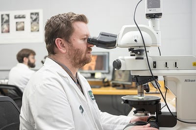petrography_lab_web petrography_lab_web