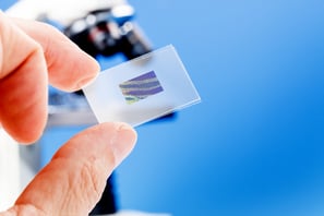 a microscope slide